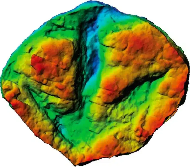 Scientists have discovered a huge graveyard of dinosaur tracks and here's what they found 6 dino4